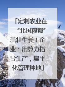 定制农业在“北国粮都”茁壮生长！企业：用算力指导生产，扁平化管理种地