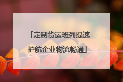 定制货运班列提速 护航企业物流畅通