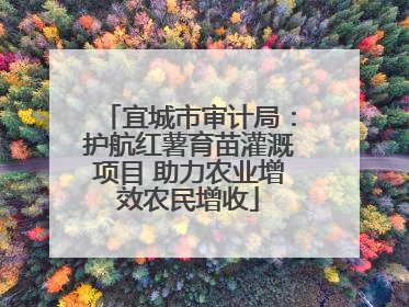 宜城市审计局：护航红薯育苗灌溉项目 助力农业增效农民增收