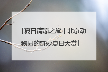 夏日清凉之旅丨北京动物园的奇妙夏日大赏