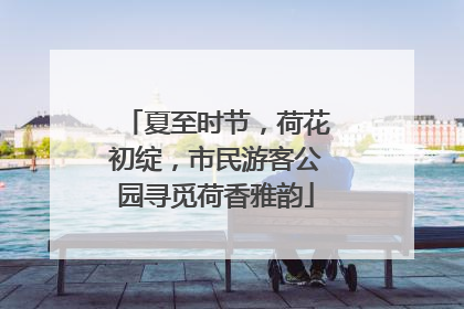 夏至时节，荷花初绽，市民游客公园寻觅荷香雅韵