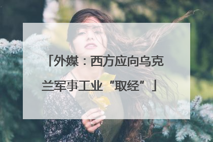 外媒：西方应向乌克兰军事工业“取经”