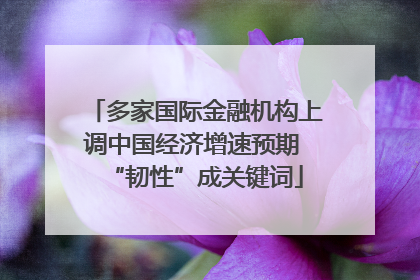 多家国际金融机构上调中国经济增速预期 “韧性”成关键词