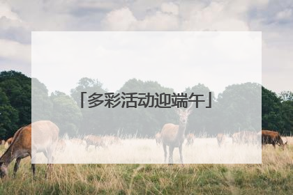 多彩活动迎端午