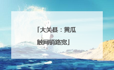 大关县：黄瓜触网销路宽