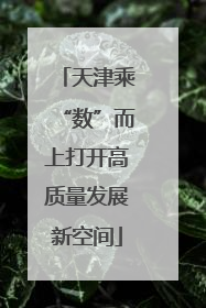 天津乘“数”而上打开高质量发展新空间