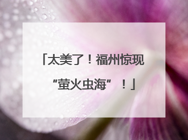 太美了！福州惊现“萤火虫海”！