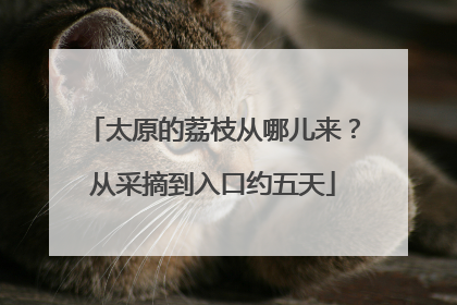 太原的荔枝从哪儿来？从采摘到入口约五天