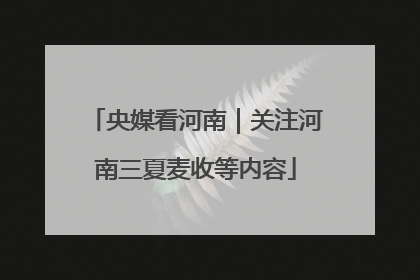 央媒看河南｜关注河南三夏麦收等内容