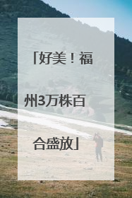 好美！福州3万株百合盛放
