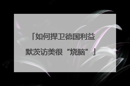 如何捍卫德国利益 默茨访美很“烧脑”