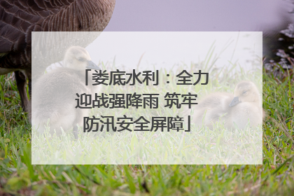 娄底水利：全力迎战强降雨 筑牢防汛安全屏障