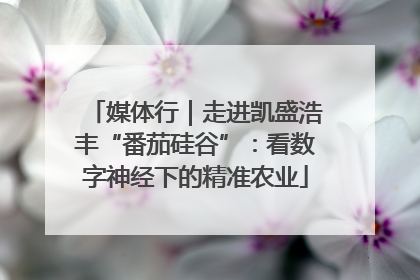媒体行｜走进凯盛浩丰“番茄硅谷”：看数字神经下的精准农业