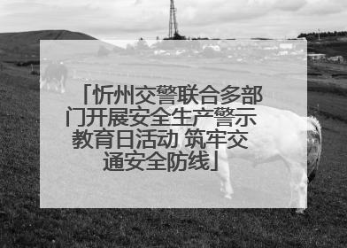 忻州交警联合多部门开展安全生产警示教育日活动 筑牢交通安全防线