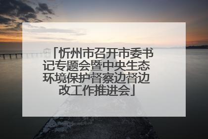忻州市召开市委书记专题会暨中央生态环境保护督察边督边改工作推进会