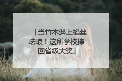 当竹木遇上掐丝珐琅！这所学校捧回省级大奖