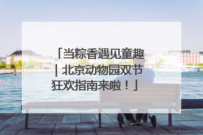 当粽香遇见童趣｜北京动物园双节狂欢指南来啦！