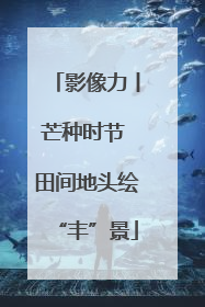 影像力丨芒种时节 田间地头绘“丰”景