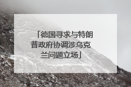 德国寻求与特朗普政府协调涉乌克兰问题立场
