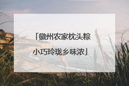 徽州农家枕头粽 小巧玲珑乡味浓
