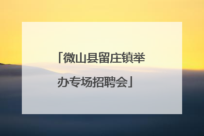 微山县留庄镇举办专场招聘会