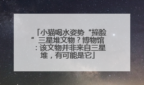 小猫喝水姿势“撞脸”三星堆文物？博物馆：该文物并非来自三星堆，有可能是它