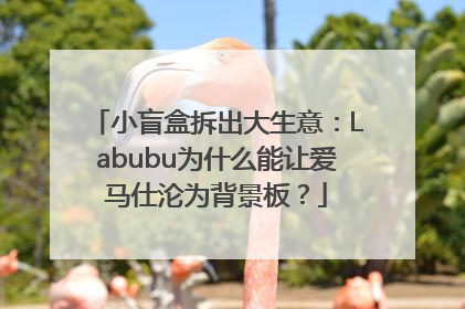 小盲盒拆出大生意：Labubu为什么能让爱马仕沦为背景板？