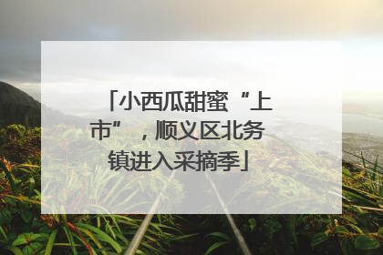 小西瓜甜蜜“上市”，顺义区北务镇进入采摘季