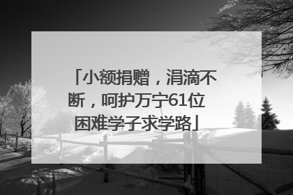 小额捐赠，涓滴不断，呵护万宁61位困难学子求学路