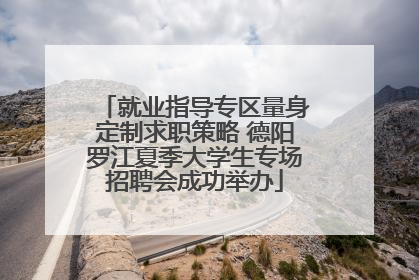就业指导专区量身定制求职策略 德阳罗江夏季大学生专场招聘会成功举办