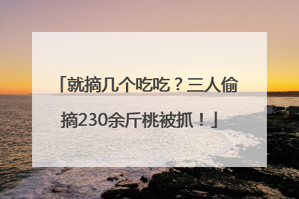 就摘几个吃吃？三人偷摘230余斤桃被抓！