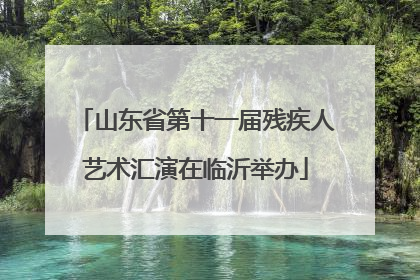 山东省第十一届残疾人艺术汇演在临沂举办