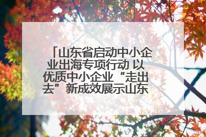 山东省启动中小企业出海专项行动 以优质中小企业“走出去”新成效展示山东产业发展新形象