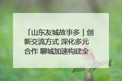 山东友城故事多｜创新交流方式 深化多元合作 聊城加速构建全球友城新格局