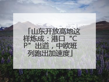 山东开放高地这样炼成：港口“CP”出道，中欧班列跑出加速度