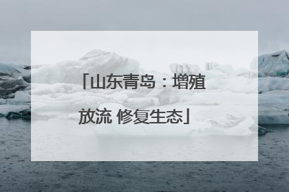 山东青岛：增殖放流 修复生态