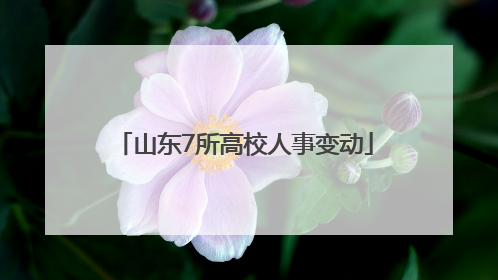 山东7所高校人事变动