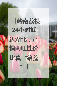 岭南荔枝24小时抵达湖北，产销两旺性价比真“给荔”