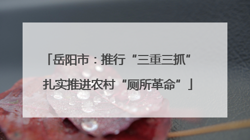 岳阳市：推行“三重三抓” 扎实推进农村“厕所革命”