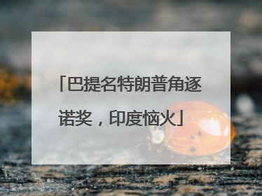 巴提名特朗普角逐诺奖，印度恼火