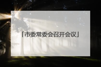 市委常委会召开会议