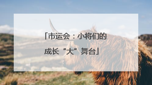 市运会：小将们的成长“大”舞台