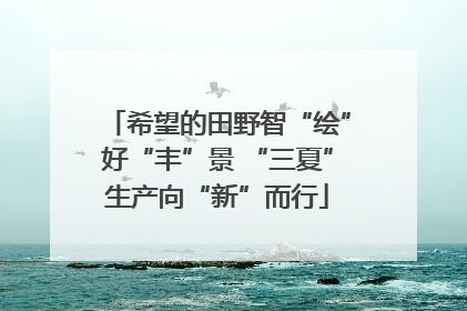 希望的田野智“绘”好“丰”景 “三夏”生产向“新”而行