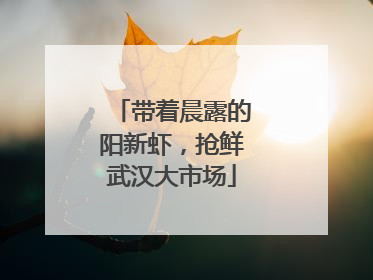 带着晨露的阳新虾，抢鲜武汉大市场
