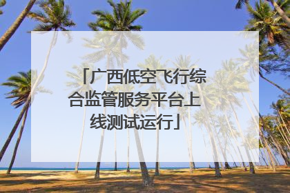 广西低空飞行综合监管服务平台上线测试运行