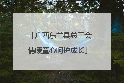 广西东兰县总工会情暖童心呵护成长