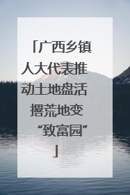 广西乡镇人大代表推动土地盘活 撂荒地变“致富园”