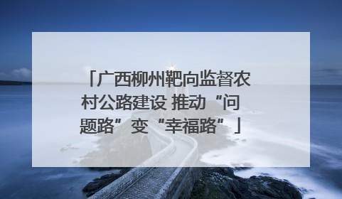 广西柳州靶向监督农村公路建设 推动“问题路”变“幸福路”