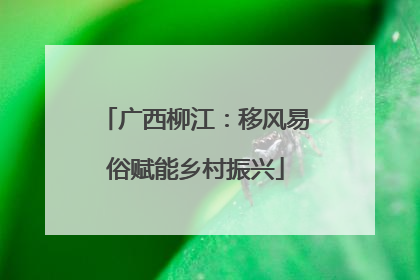 广西柳江：移风易俗赋能乡村振兴