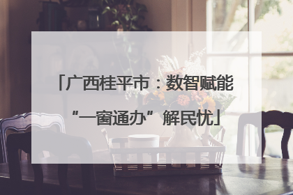 广西桂平市：数智赋能“一窗通办”解民忧